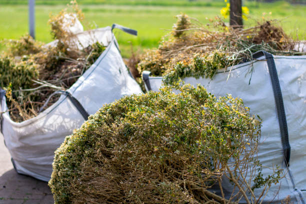 Best Dumpster Rental Services  in Whitewright, TX